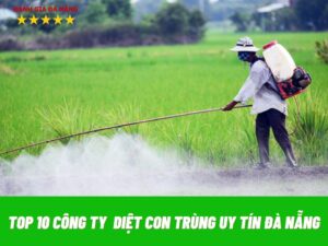 top-10-cong-ty-diet-con-trung-uy-tin-tai-da-nang