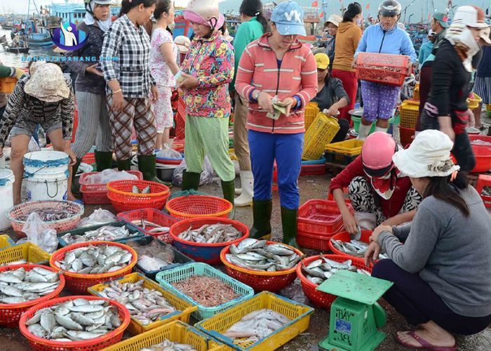 Chợ hải sản Thanh Khê – Chợ hải sản Đà Nẵng khá lâu đời