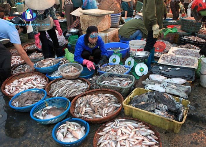 Chợ hải sản trên đường Hoàng Sa