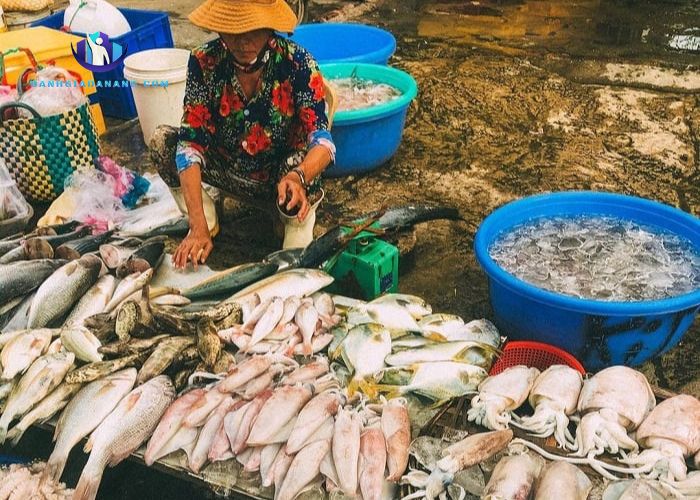 Chợ đầu mối hải sản Thọ Quang – Khu chợ Đà Nẵng cung cấp nhu yếu phẩm cho dân địa phương