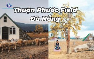Phim trường Thuận Phước Field