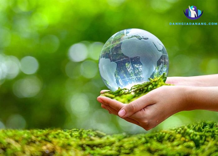 Lưu ý về môi trường và thiên nhiên